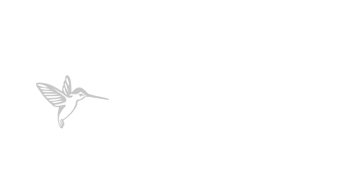 Humminbird fishfinders — Flyfin Boats supplier